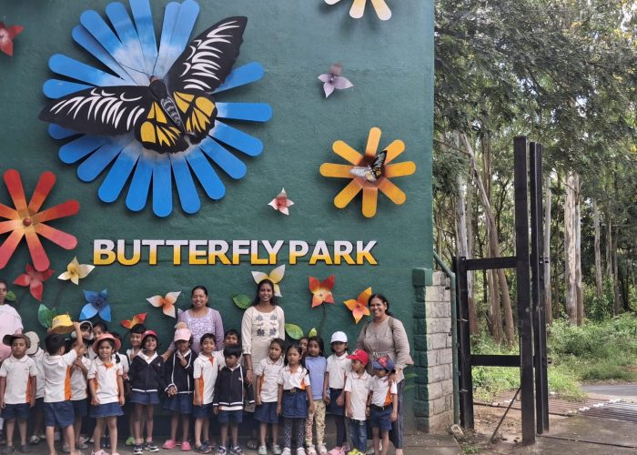 20251017_132948 20251017_132948